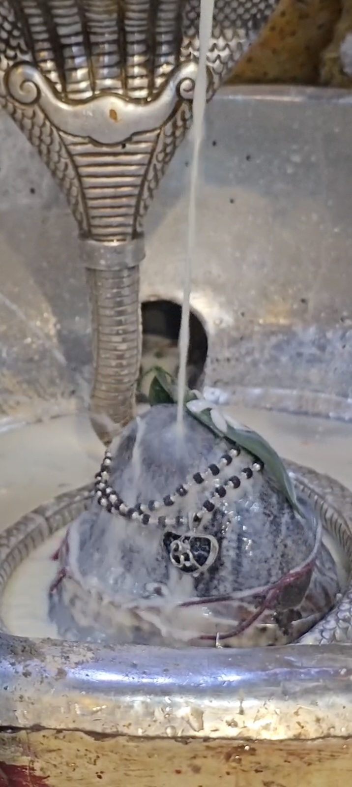 Rudrabhishek to Shree Kubereshwar Mahadev