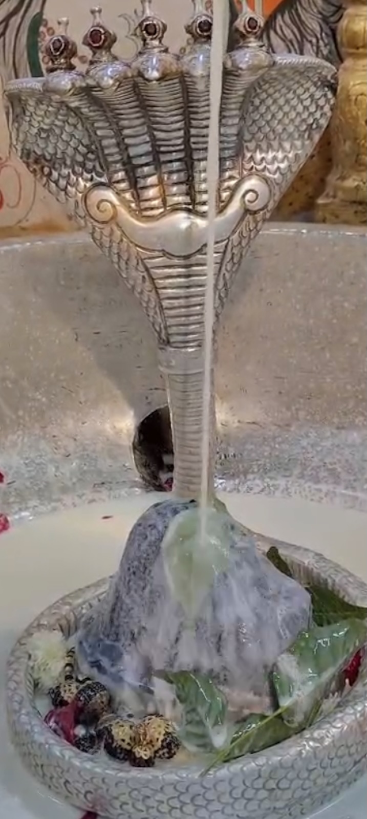 Rudrabhishek to Shree Kubereshwar Mahadev