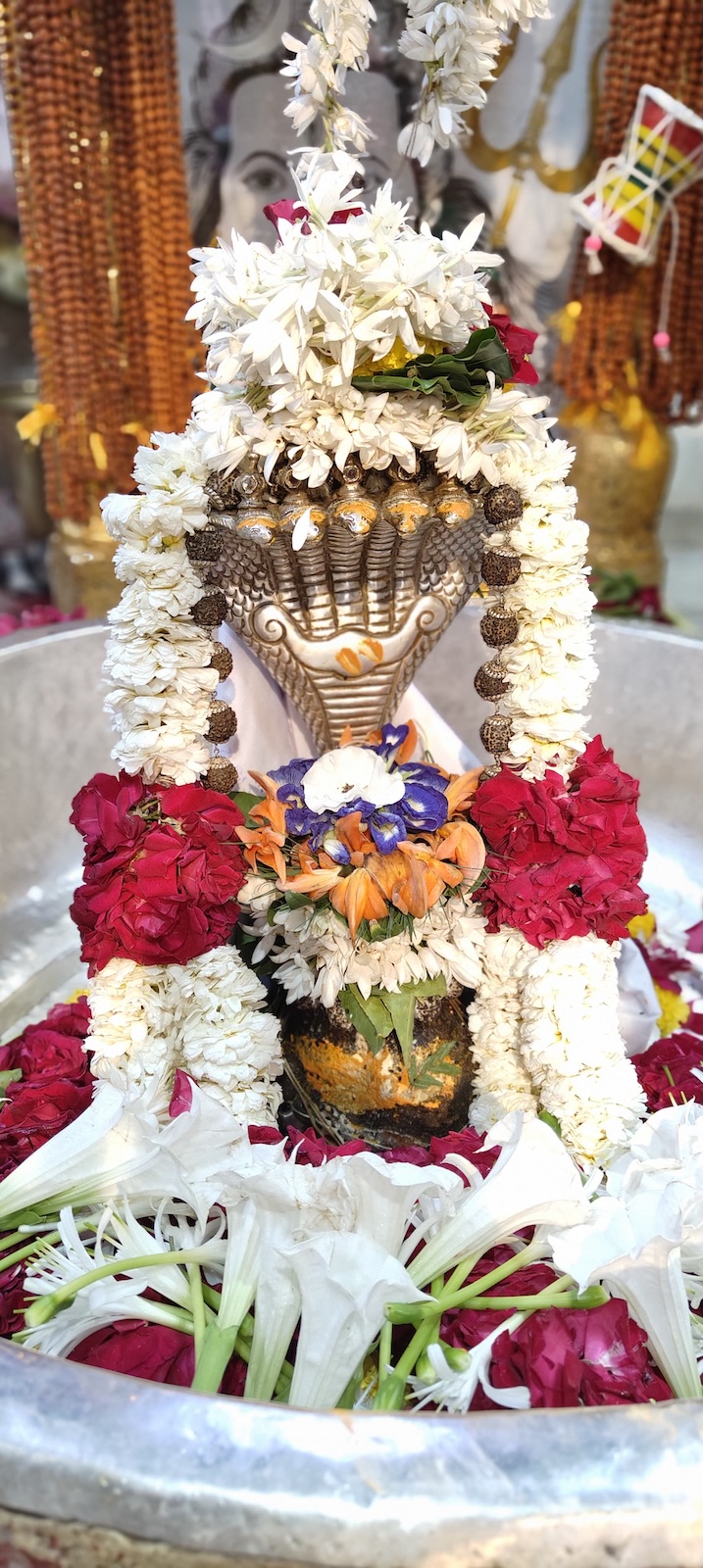 Rudrabhishek to Shree Kubereshwar Mahadev