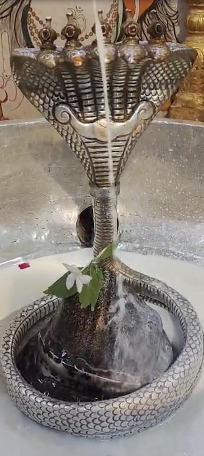 Rudrabhishek to Shree Kubereshwar Mahadev