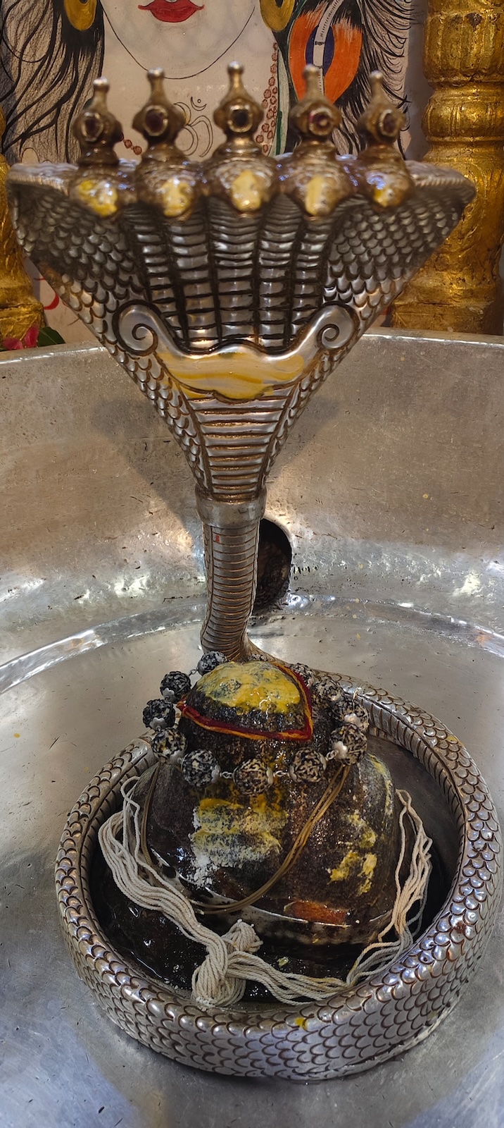 Rudrabhishek to Shree Kubereshwar Mahadev