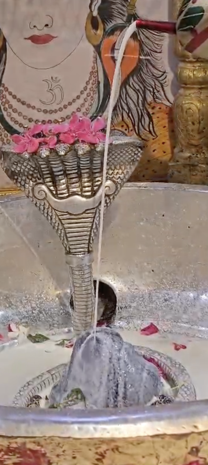 Rudrabhishek to Shree Kubereshwar Mahadev