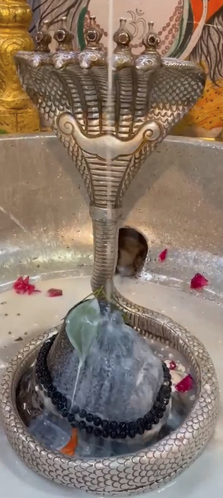 Rudrabhishek to Shree Kubereshwar Mahadev