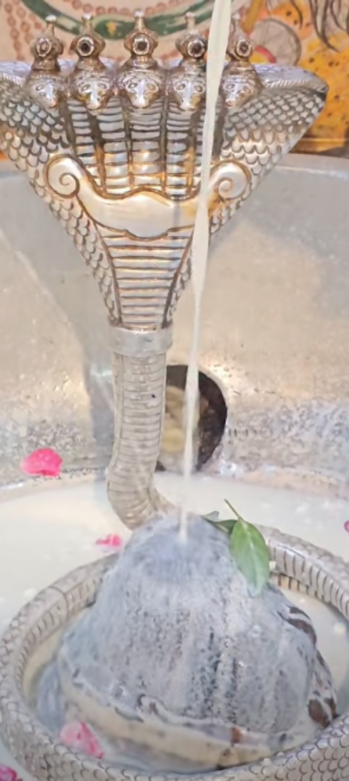 Rudrabhishek to Shree Kubereshwar Mahadev