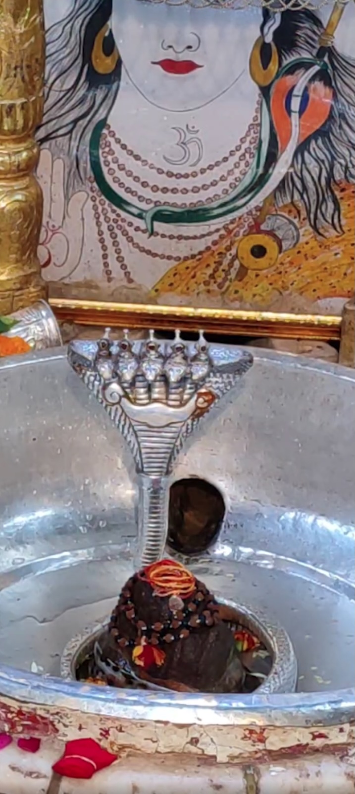 Rudrabhishek to Shree Kubereshwar Mahadev