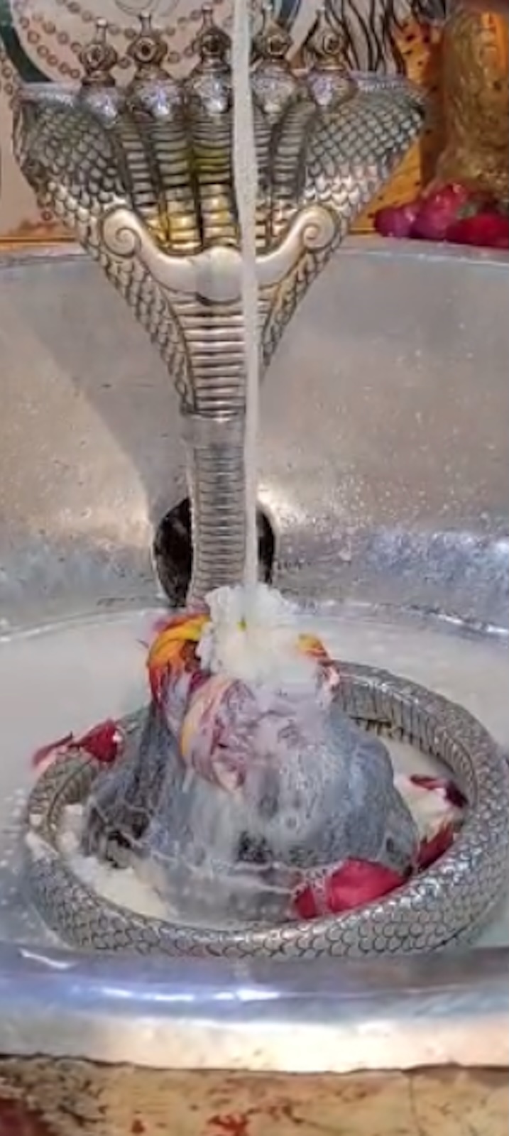 Rudrabhishek to Shree Kubereshwar Mahadev