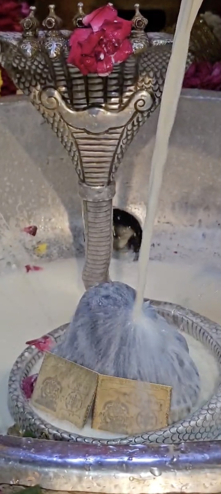 Rudrabhishek to Shree Kubereshwar Mahadev