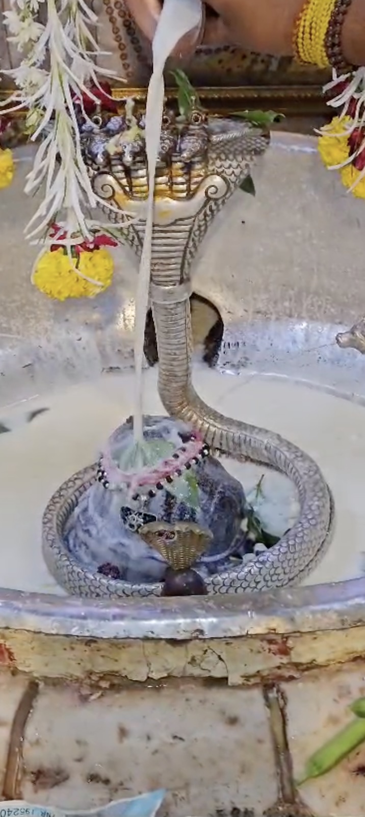 Rudrabhishek to Shree Kubereshwar Mahadev