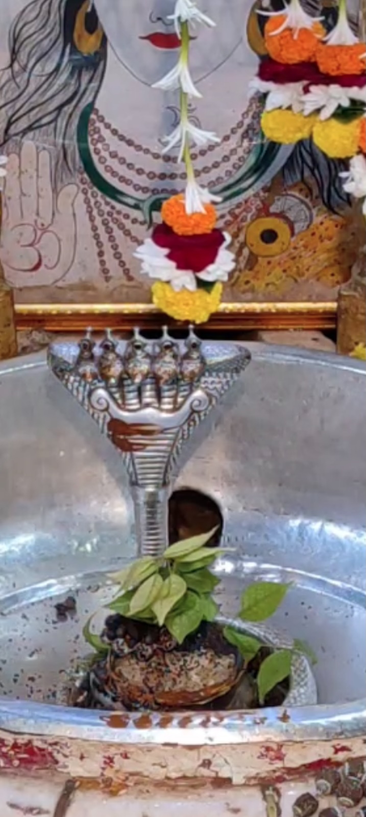 Rudrabhishek to Shree Kubereshwar Mahadev