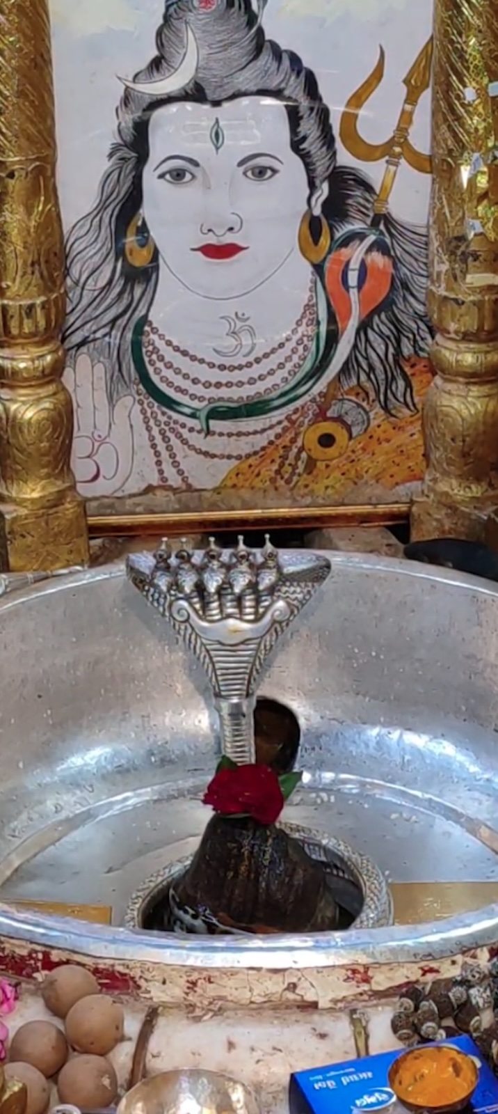 Rudrabhishek to Shree Kubereshwar Mahadev