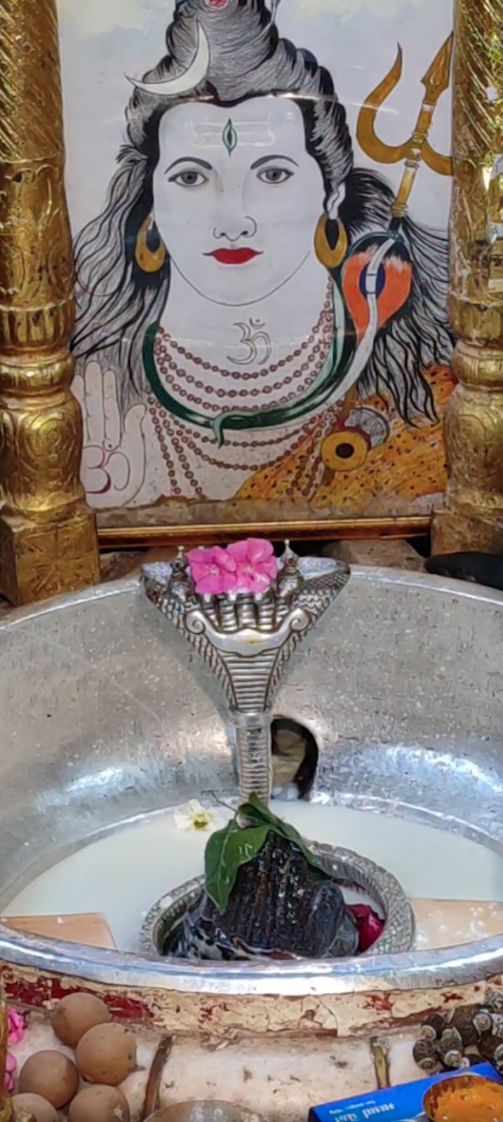 Rudrabhishek to Shree Kubereshwar Mahadev
