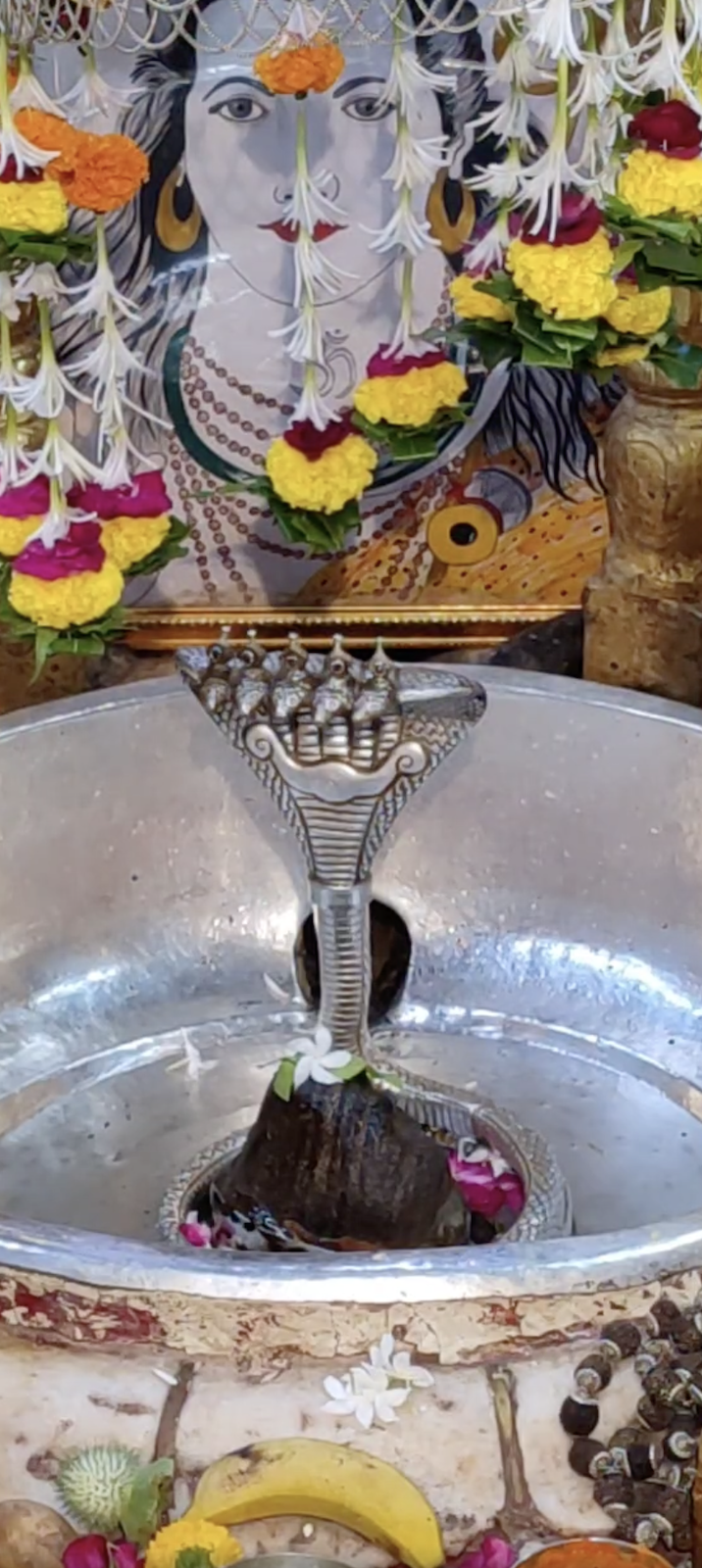 Rudrabhishek to Shree Kubereshwar Mahadev