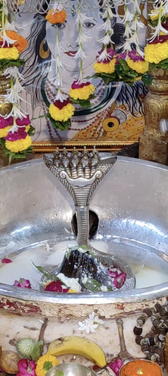 Rudrabhishek to Shree Kubereshwar Mahadev
