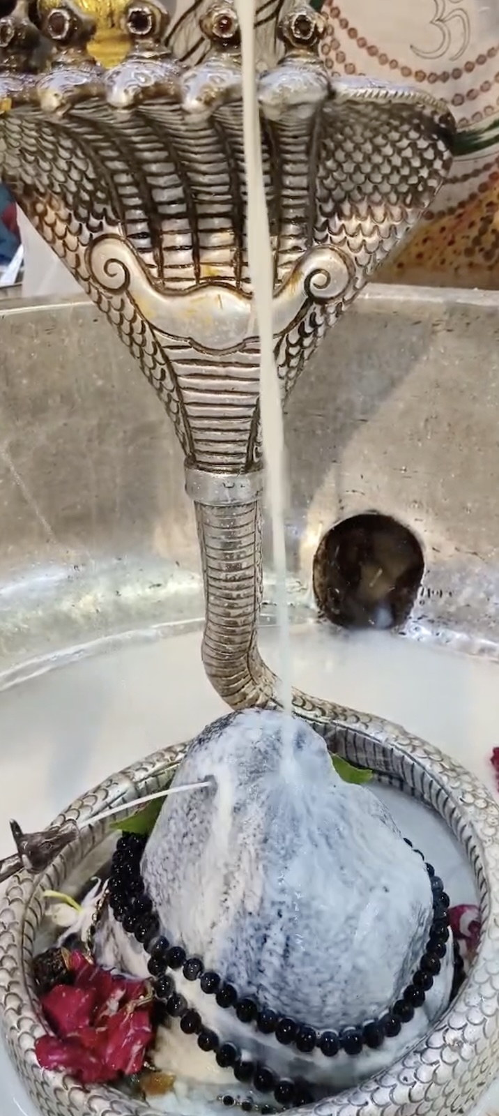 Rudrabhishek to Shree Kubereshwar Mahadev