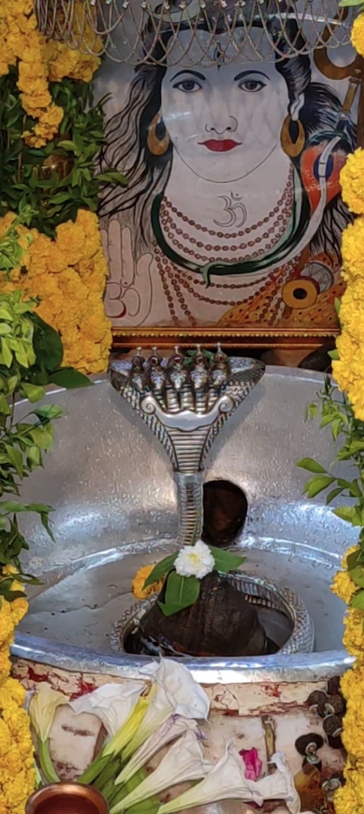 Rudrabhishek to Shree Kubereshwar Mahadev