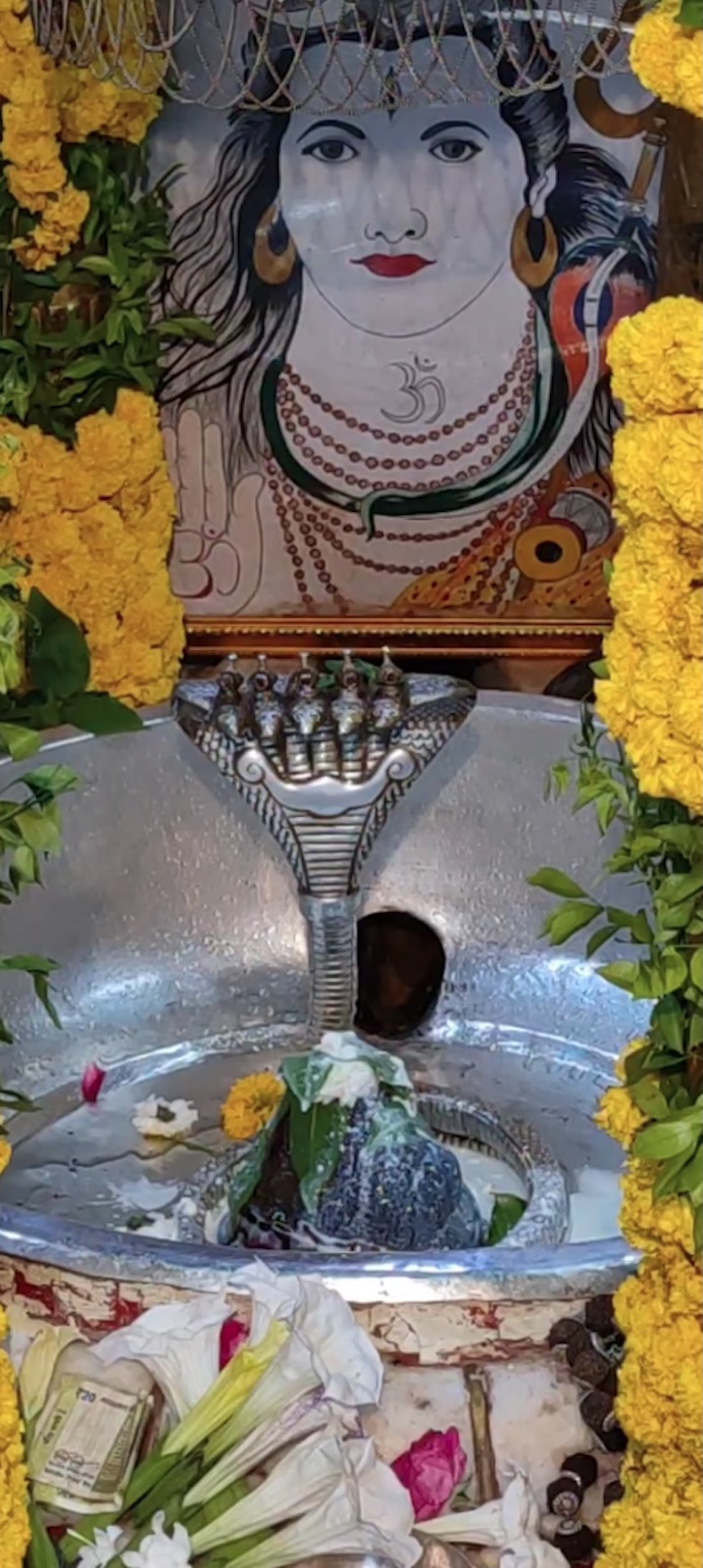 Rudrabhishek to Shree Kubereshwar Mahadev
