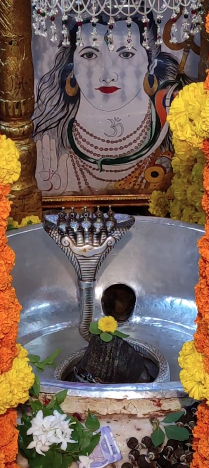 Rudrabhishek to Shree Kubereshwar Mahadev