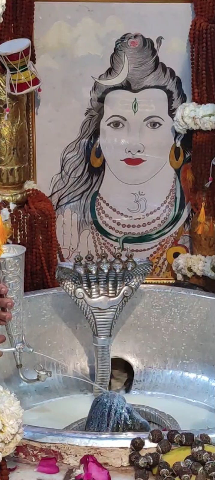 Rudrabhishek to Shree Kubereshwar Mahadev