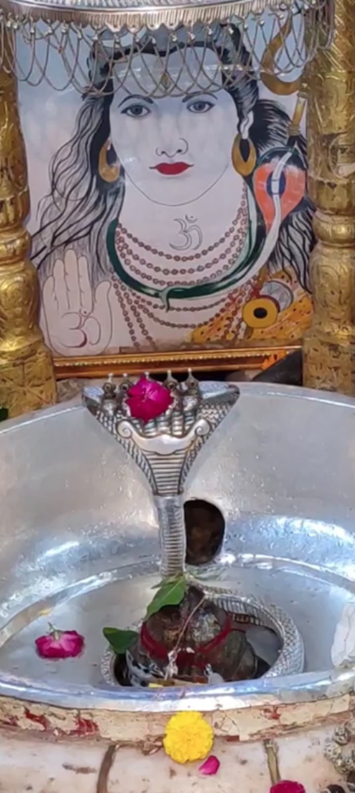Rudrabhishek to Shree Kubereshwar Mahadev