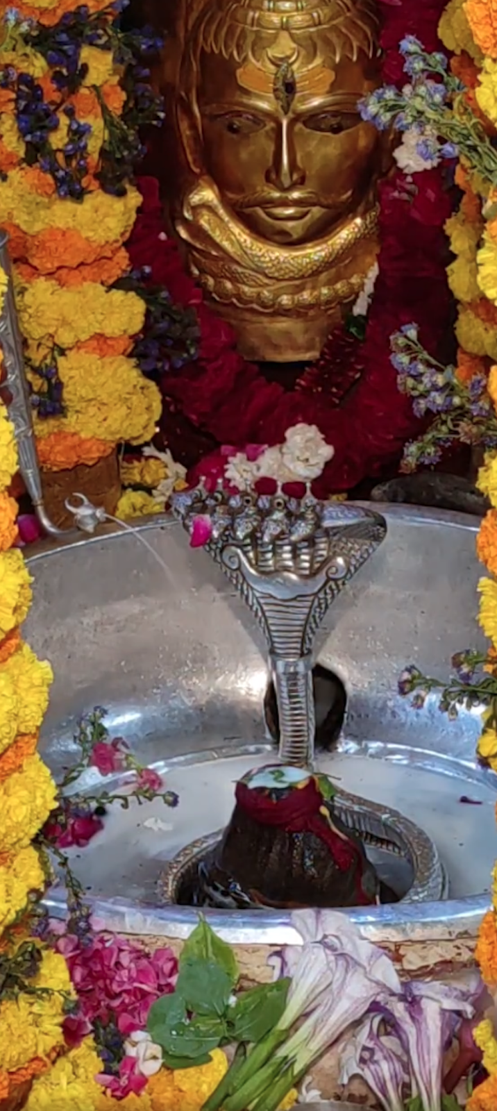 Rudrabhishek to Shree Kubereshwar Mahadev