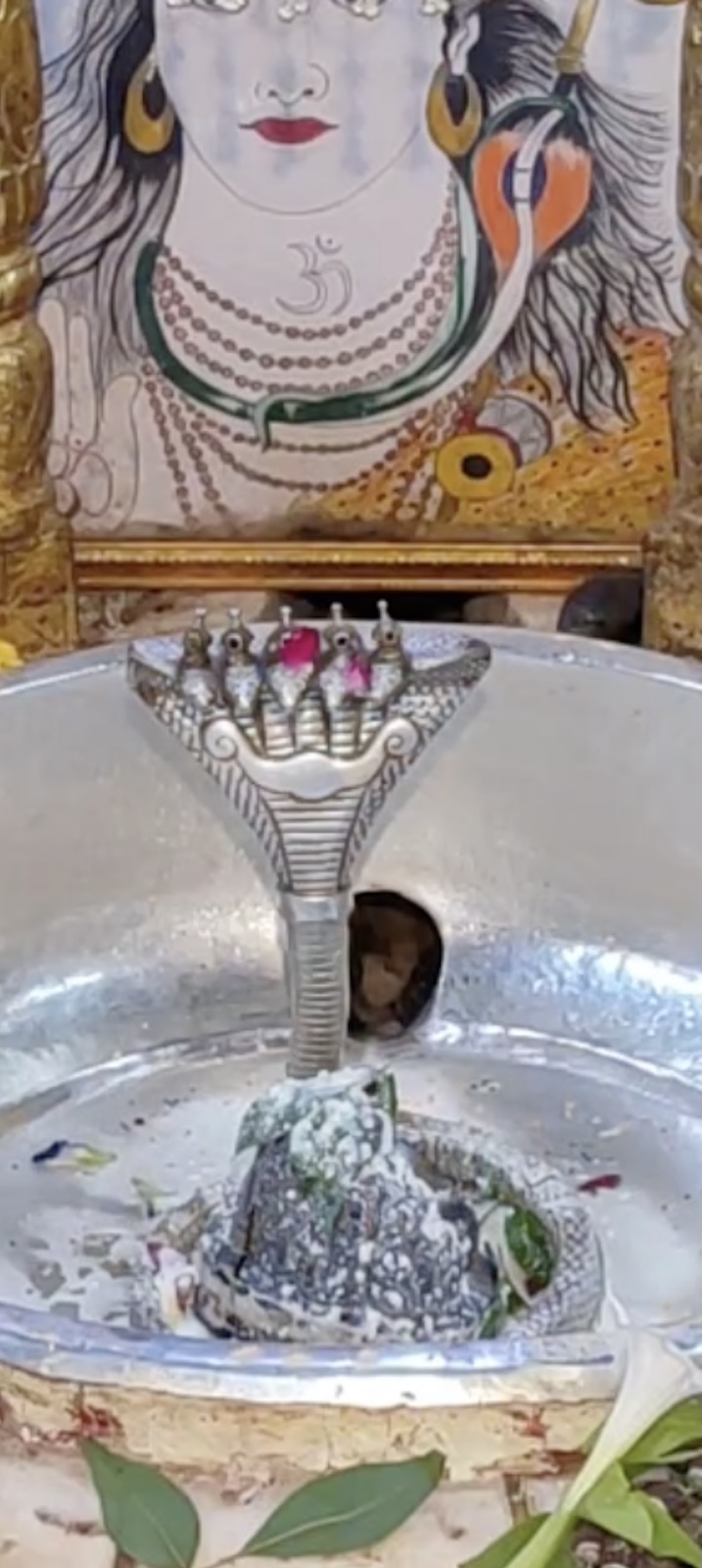 Rudrabhishek to Shree Kubereshwar Mahadev
