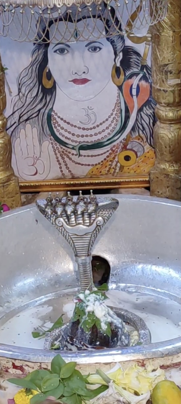 Rudrabhishek to Shree Kubereshwar Mahadev