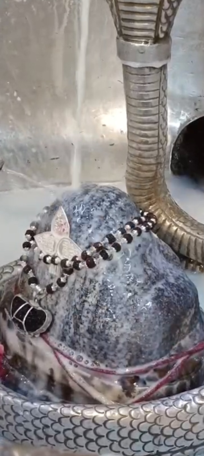 Rudrabhishek to Shree Kubereshwar Mahadev