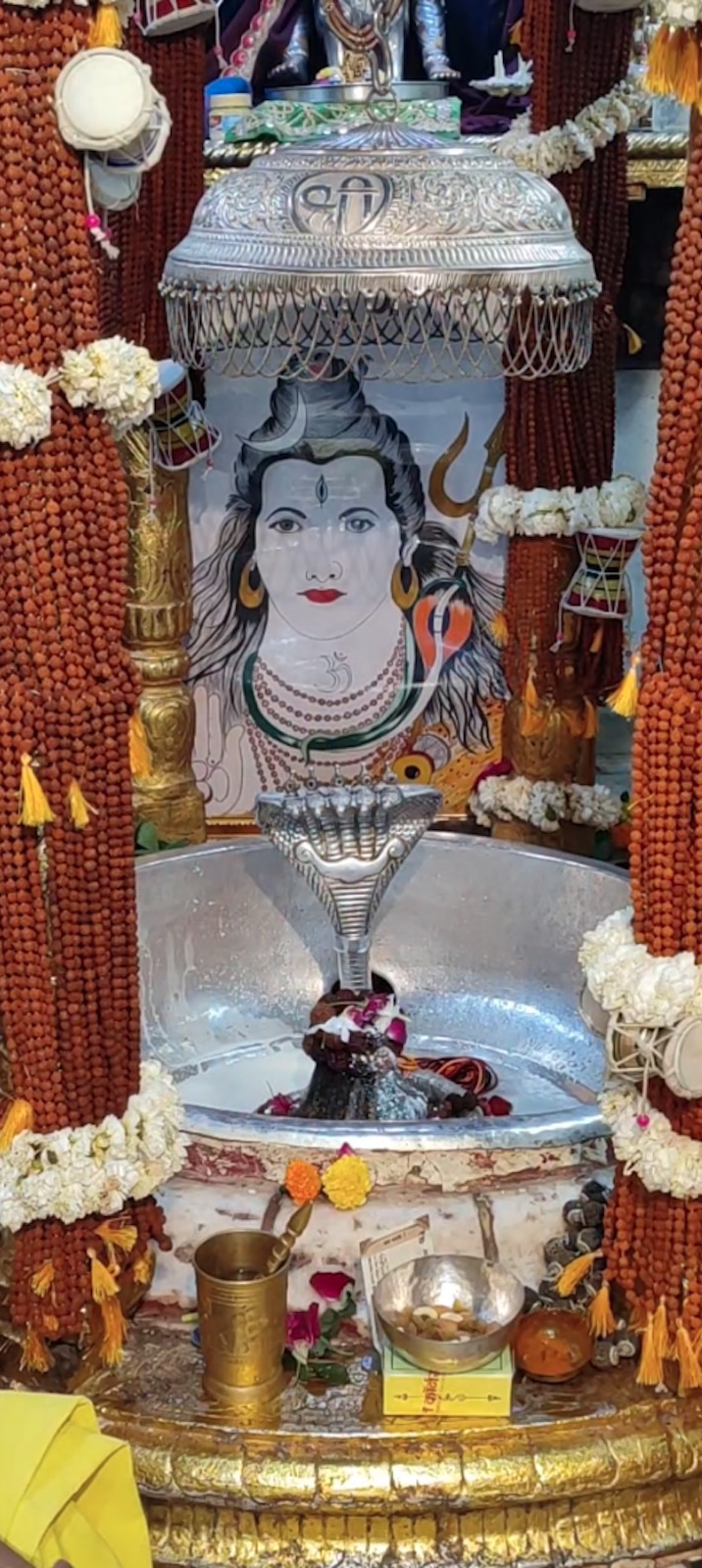Rudrabhishek to Shree Kubereshwar Mahadev