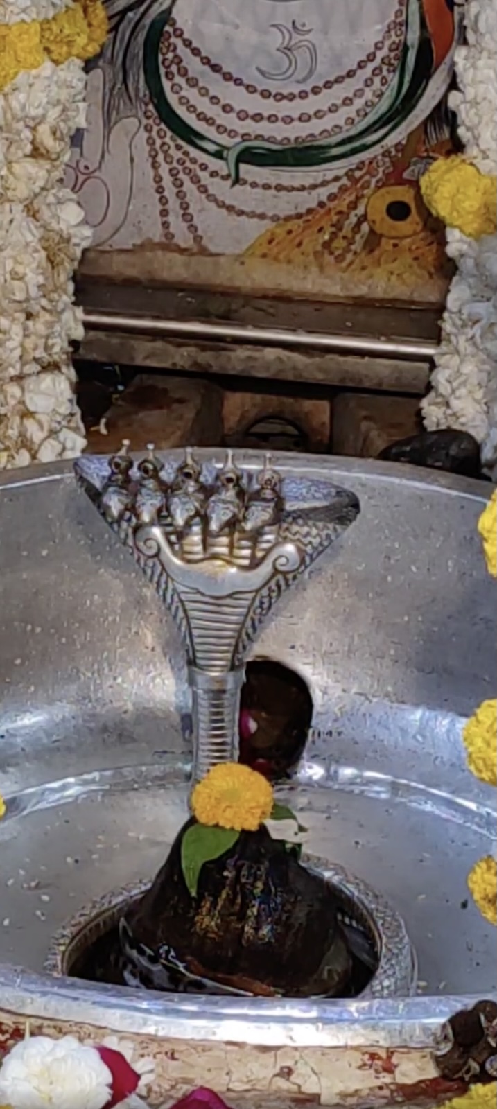 Rudrabhishek to Shree Kubereshwar Mahadev