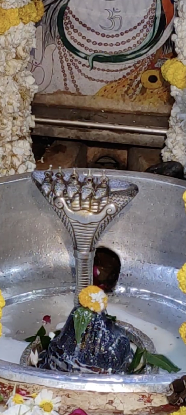 Rudrabhishek to Shree Kubereshwar Mahadev