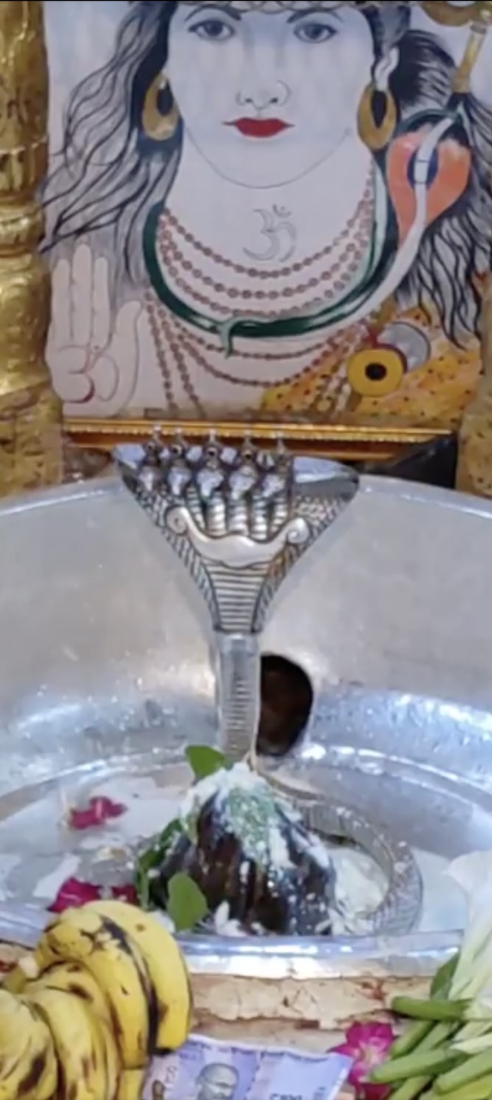 Rudrabhishek to Shree Kubereshwar Mahadev