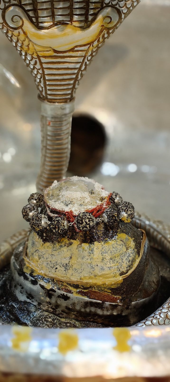 Rudrabhishek to Shree Kubereshwar Mahadev