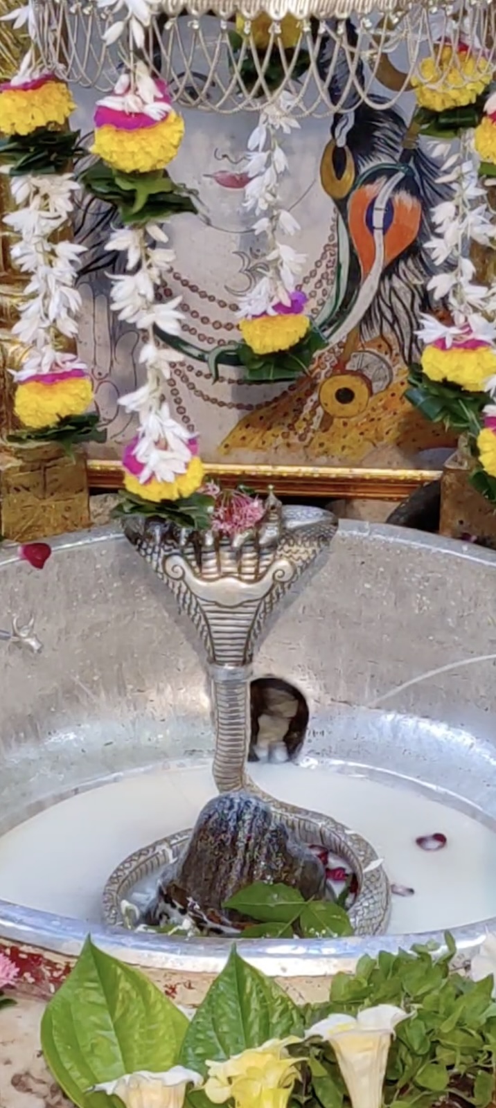 Rudrabhishek to Shree Kubereshwar Mahadev