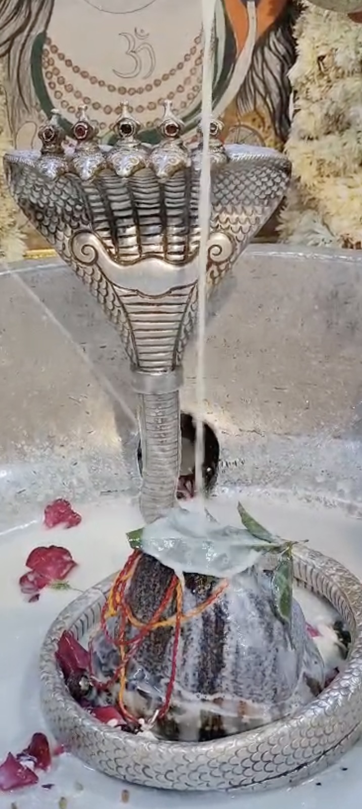 Rudrabhishek to Shree Kubereshwar Mahadev