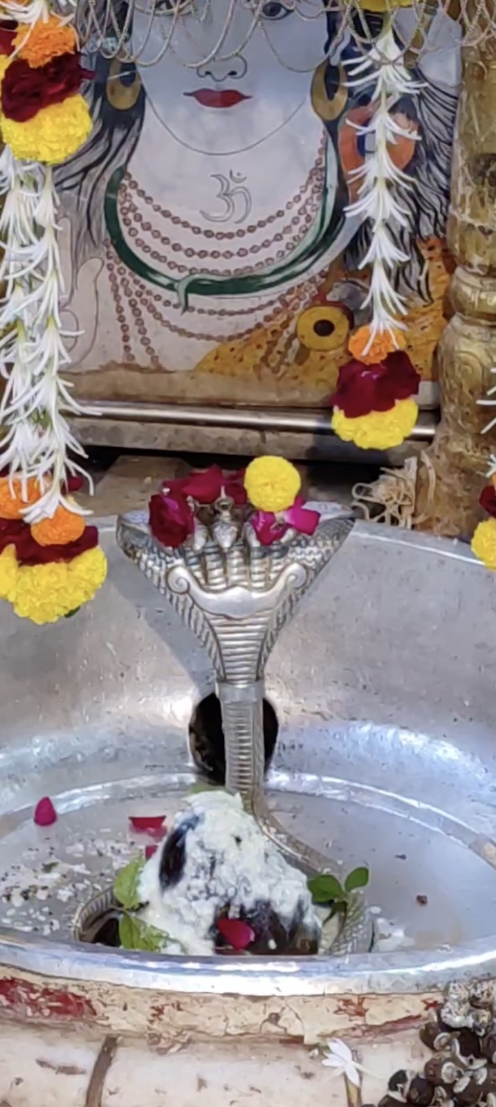Rudrabhishek to Shree Kubereshwar Mahadev