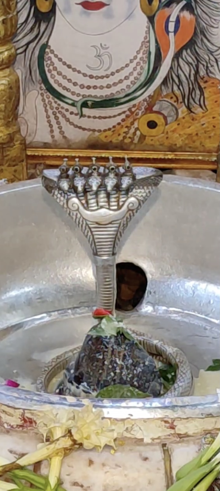 Rudrabhishek to Shree Kubereshwar Mahadev