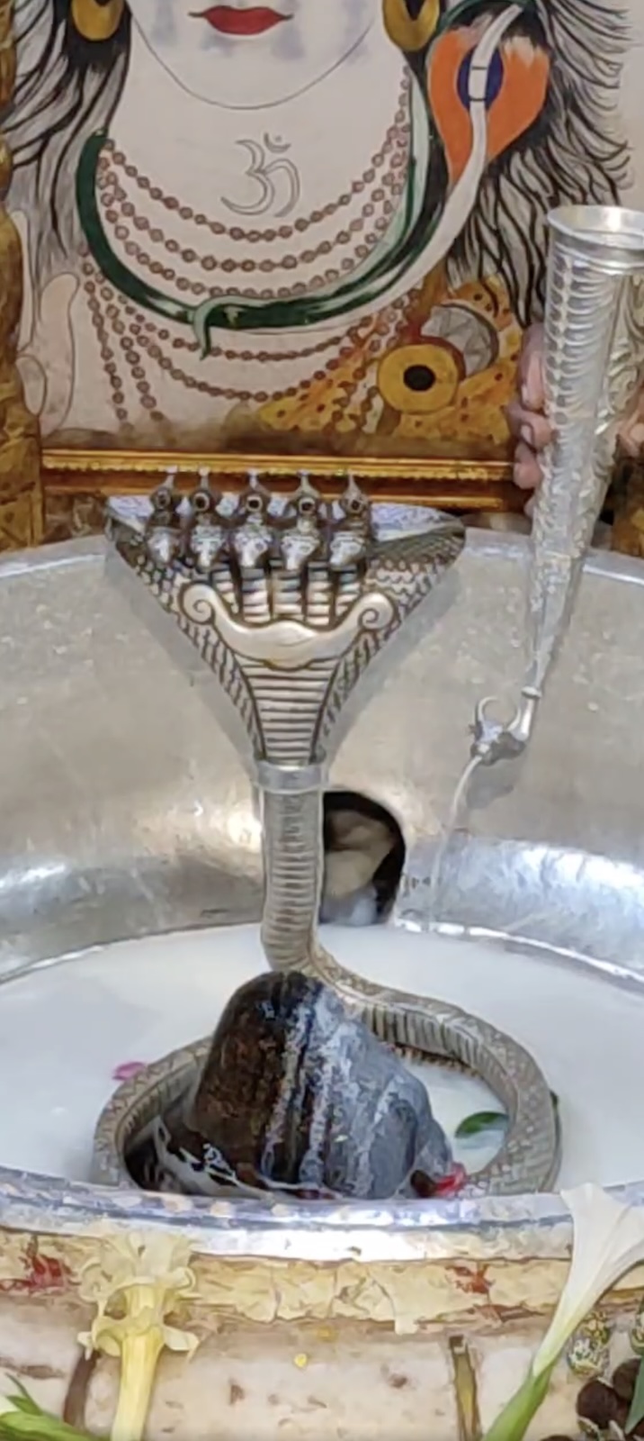 Rudrabhishek to Shree Kubereshwar Mahadev