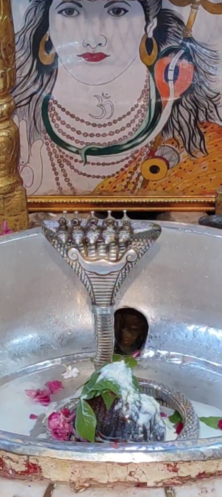 Rudrabhishek to Shree Kubereshwar Mahadev