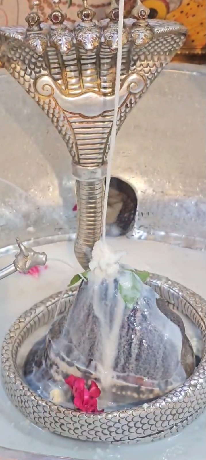 Rudrabhishek to Shree Kubereshwar Mahadev