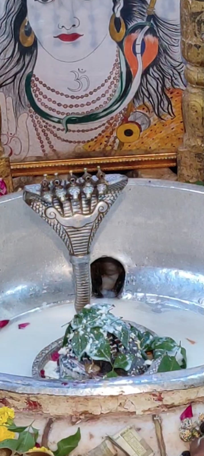 Rudrabhishek to Shree Kubereshwar Mahadev