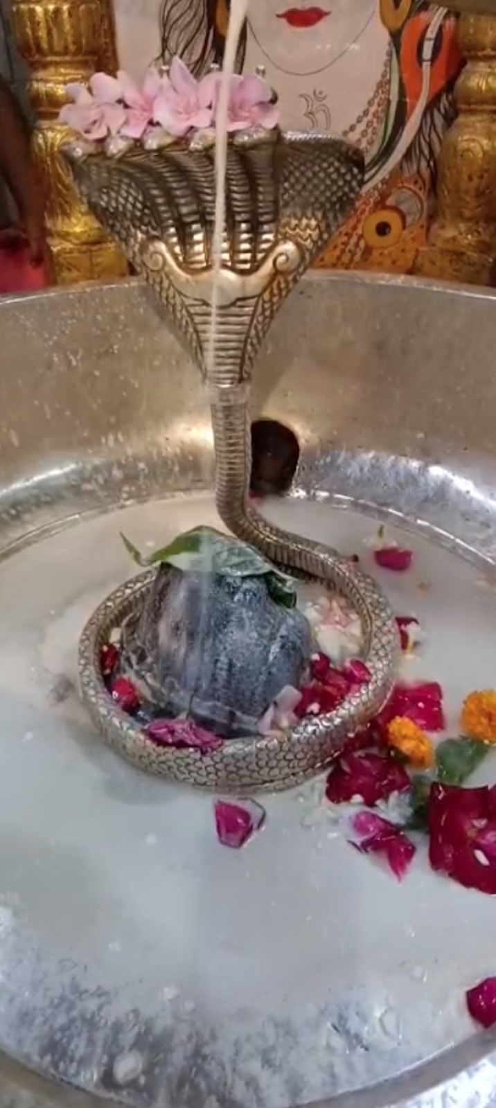 Rudrabhishek to Shree Kubereshwar Mahadev