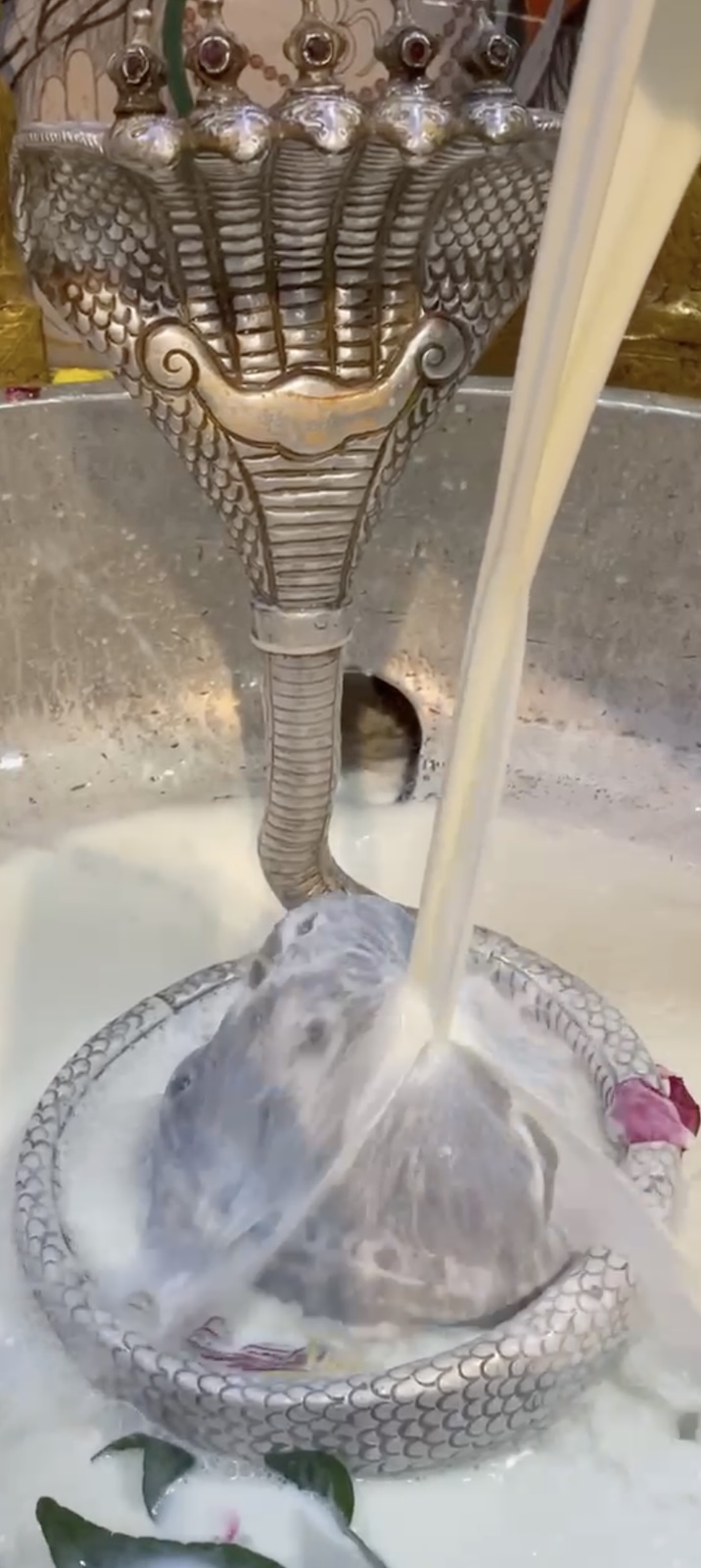 Rudrabhishek to Shree Kubereshwar Mahadev