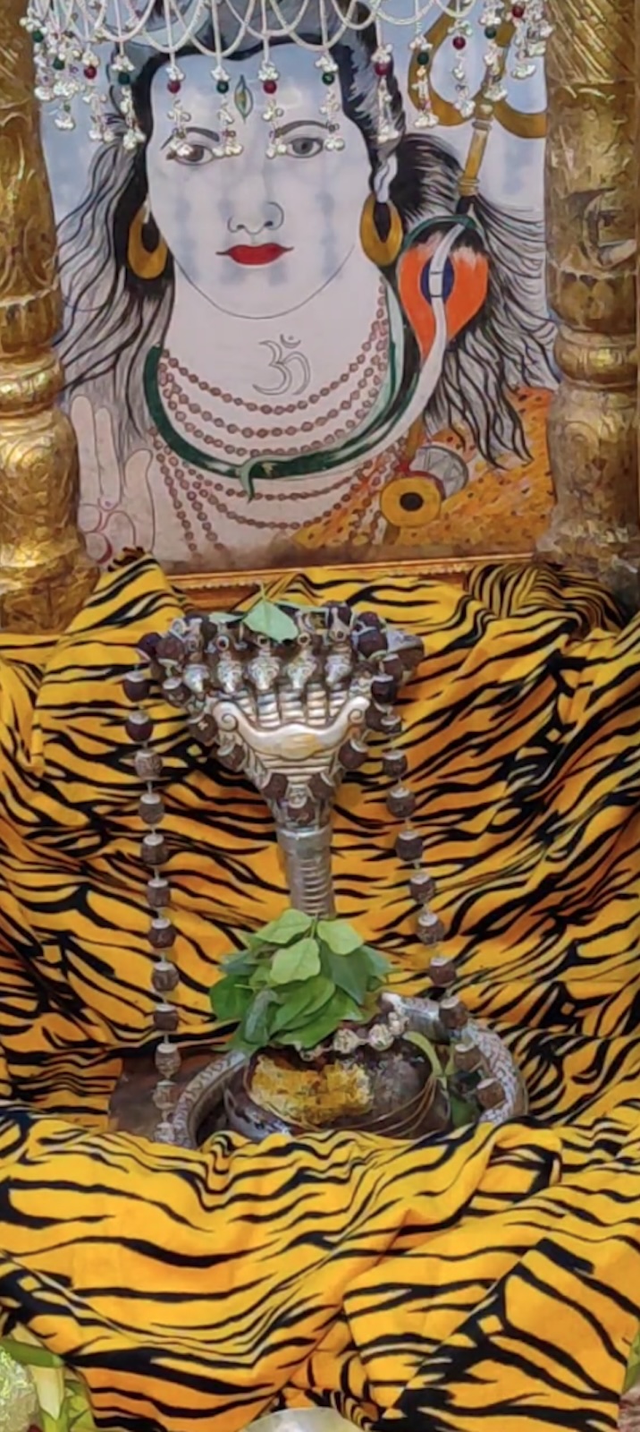 Rudrabhishek to Shree Kubereshwar Mahadev
