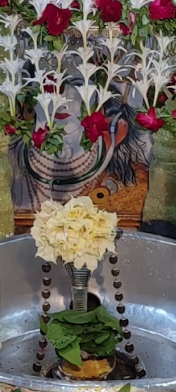 Rudrabhishek to Shree Kubereshwar Mahadev