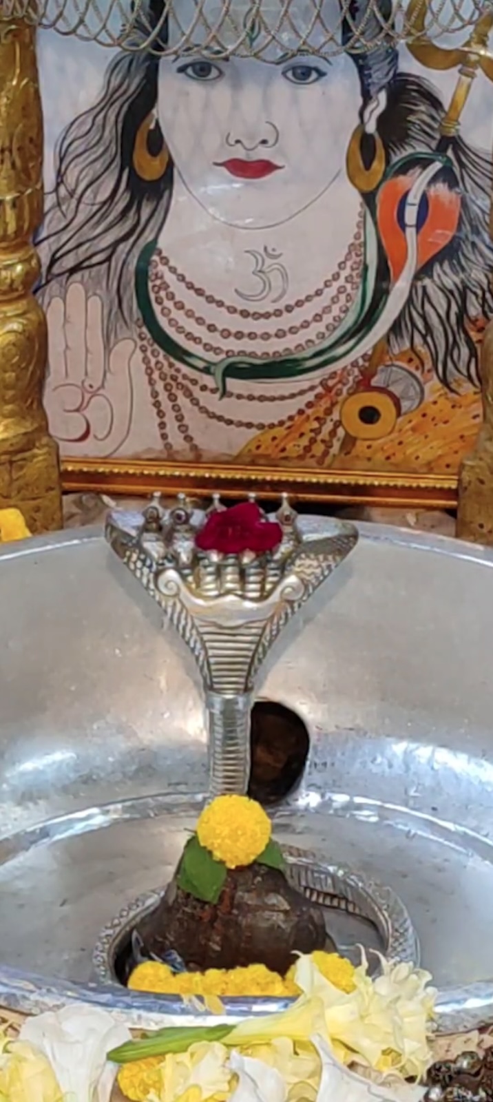 Rudrabhishek to Shree Kubereshwar Mahadev