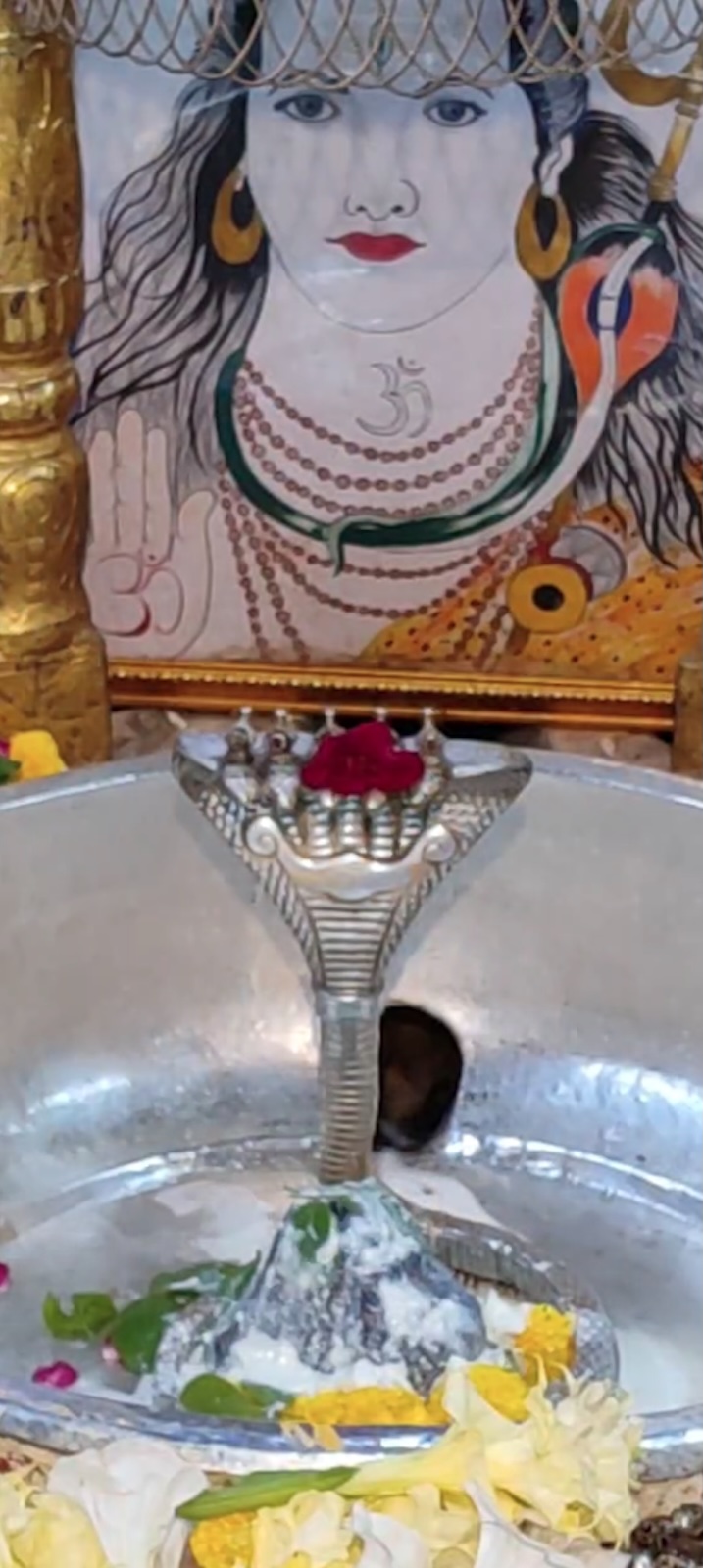 Rudrabhishek to Shree Kubereshwar Mahadev