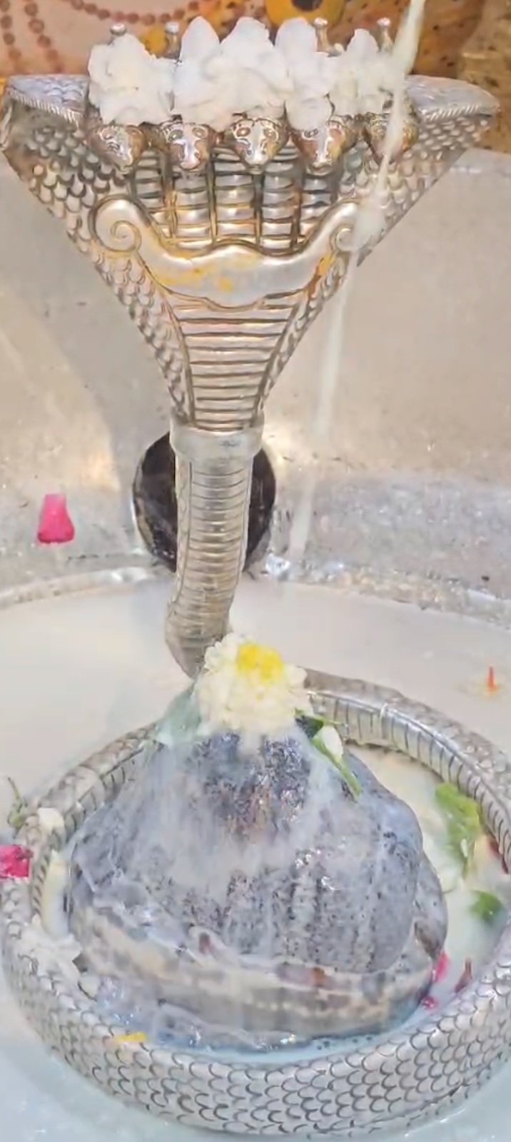 Rudrabhishek to Shree Kubereshwar Mahadev