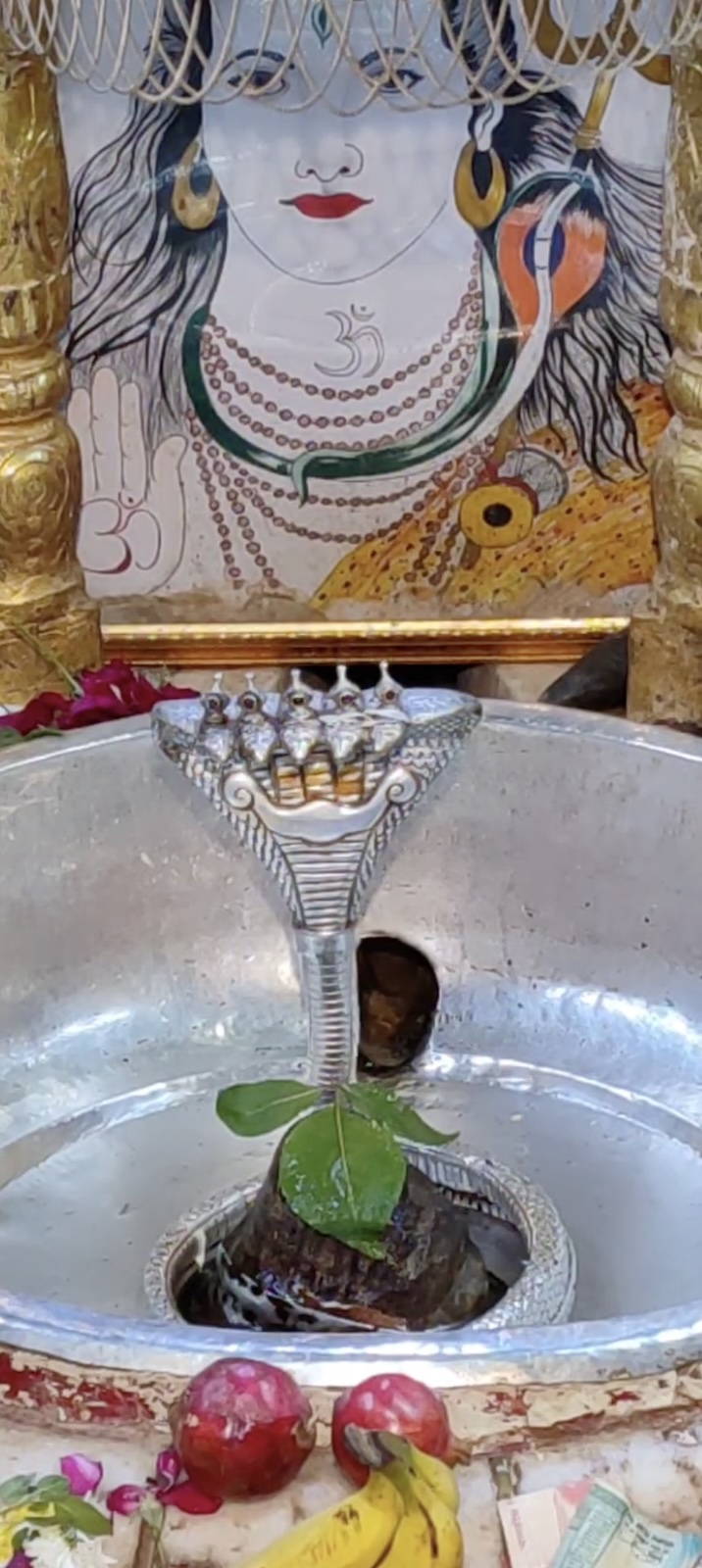 Rudrabhishek to Shree Kubereshwar Mahadev