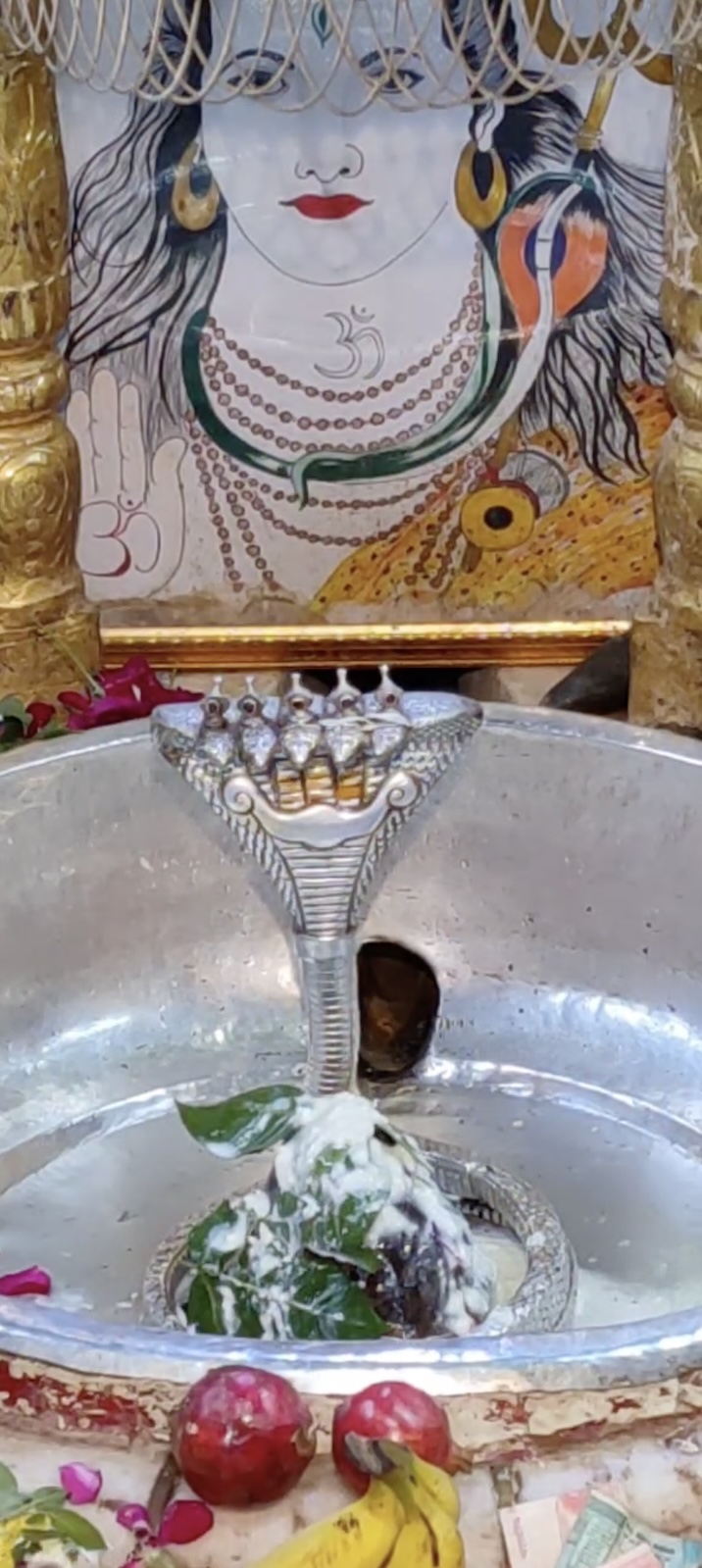 Rudrabhishek to Shree Kubereshwar Mahadev