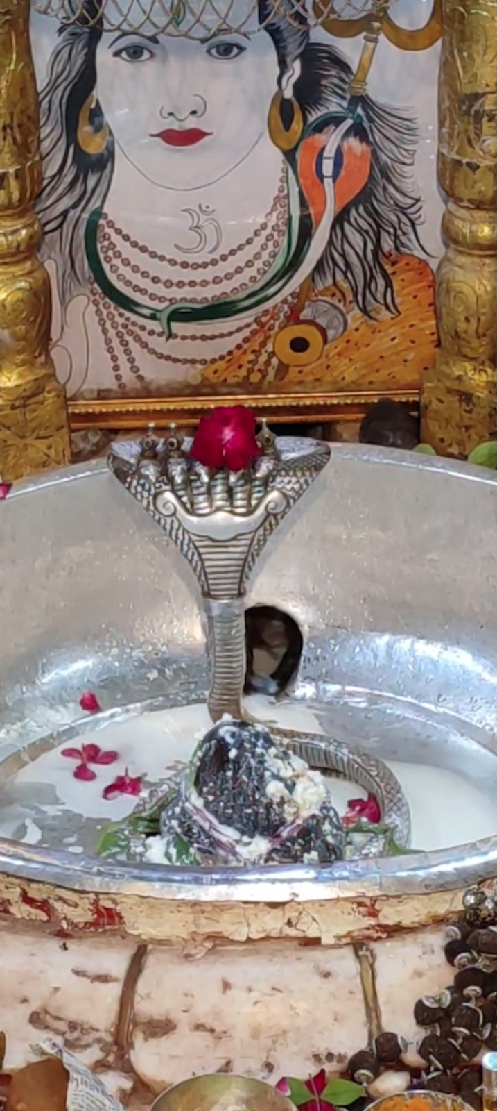 Rudrabhishek to Shree Kubereshwar Mahadev